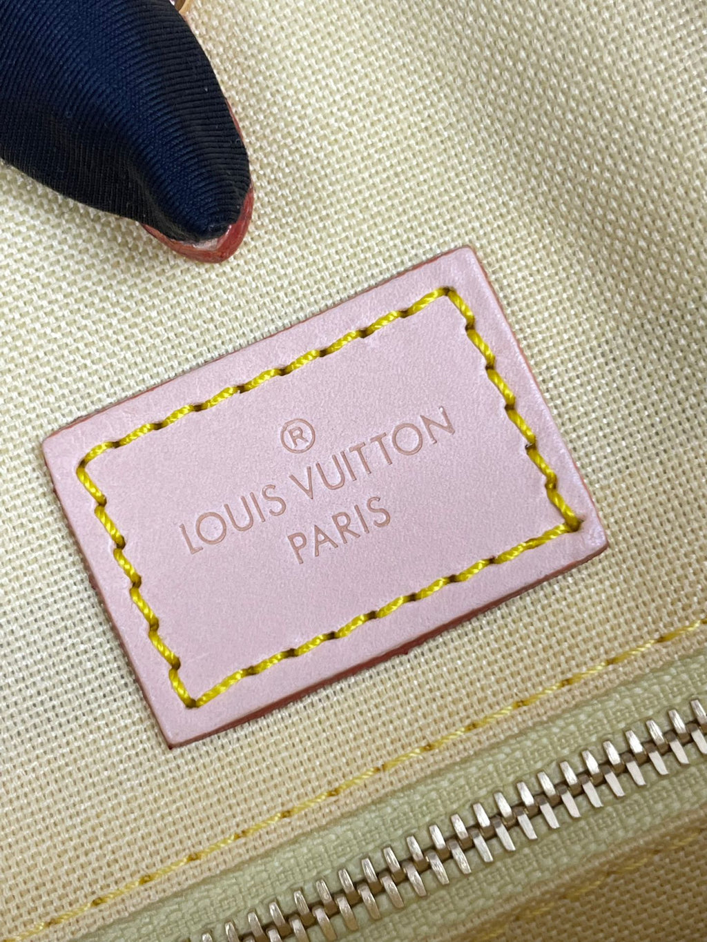 ONTHEGO 35 IN PEACH DAMIER GIANT CANVAS