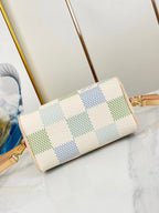 SPEEDY BANDOULIÈRE 20 IN PISTACHIO DAMIER GIANT CANVAS GOLD HARDWARE
