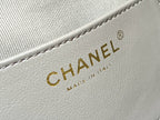 CC 25 HANDBAG IN GREY 30 SUEDE GOLD HARDWARE