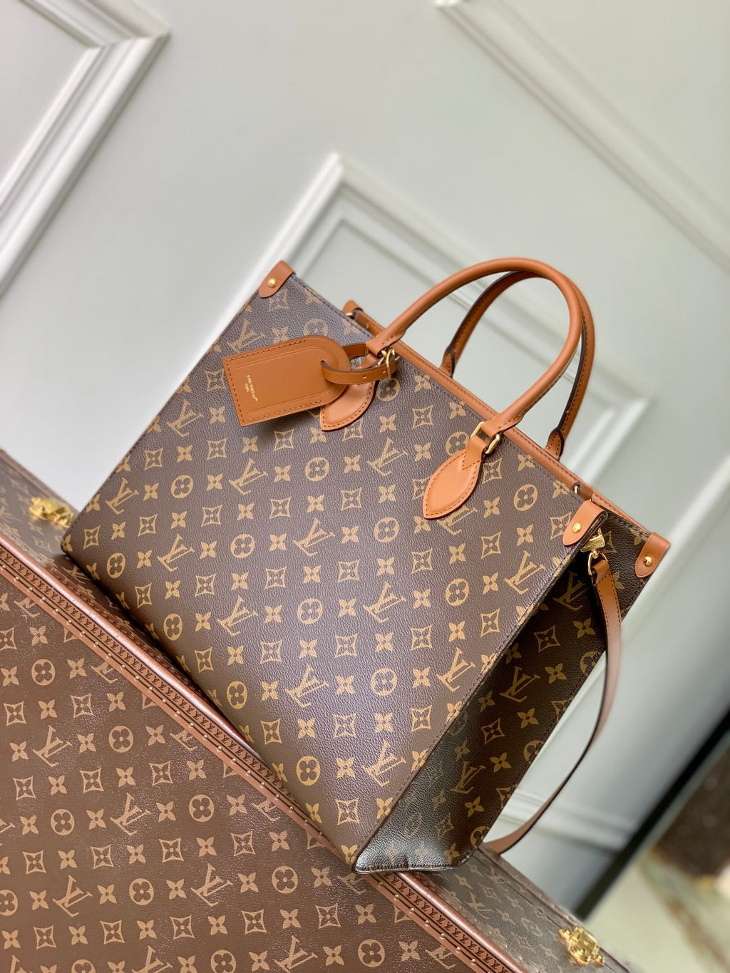 ONTHEGO ORGANIZER 37 IN BROWN COATED CANVAS AND CALFSKIN